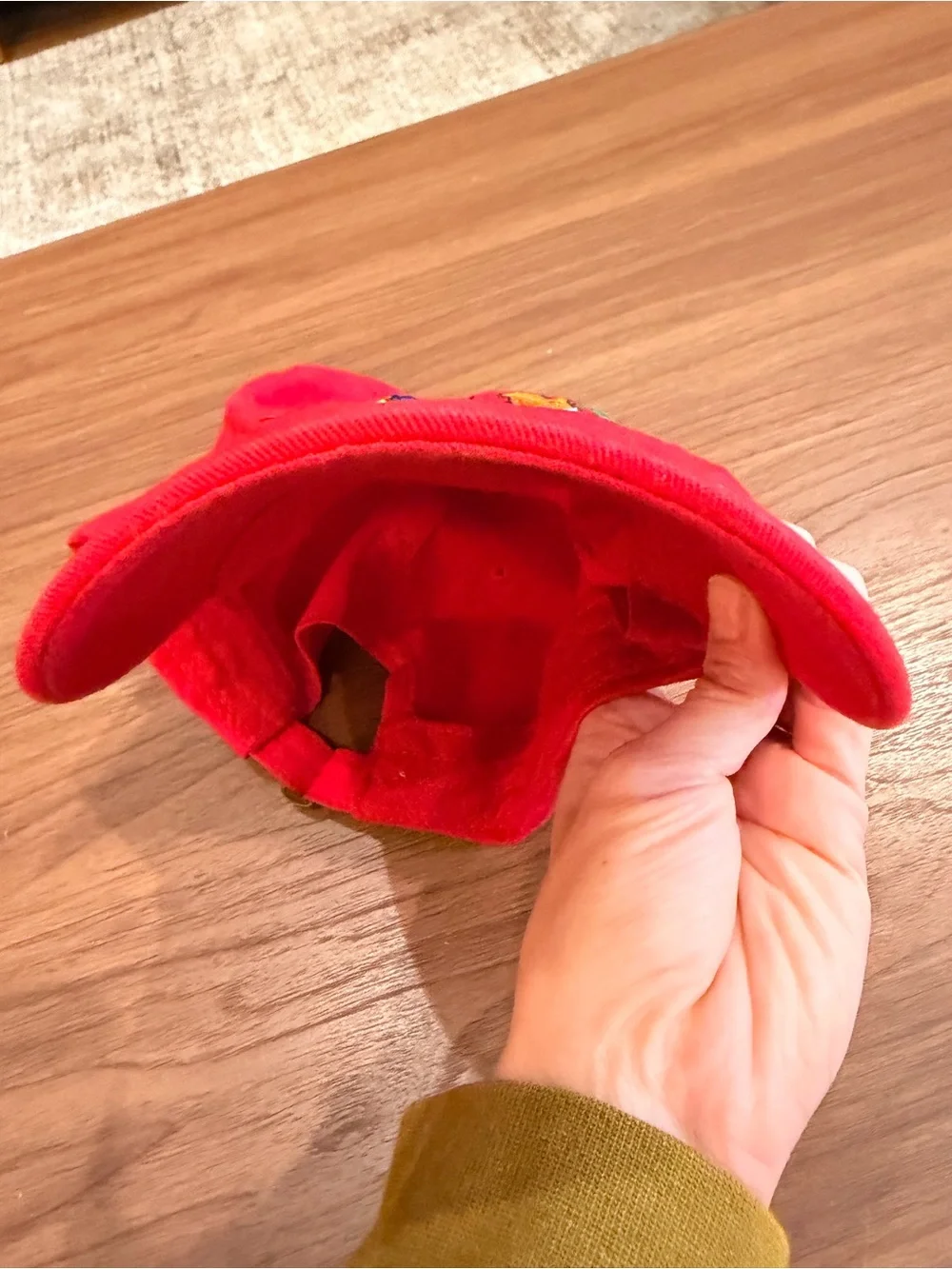 VTG Living Single Red 90's Dad Hat Embroidered Stitched Rainbow Adjustable